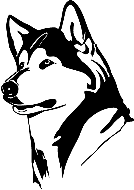 Washington Huskies 1995-2000 Partial Logo iron on transfers for fabric